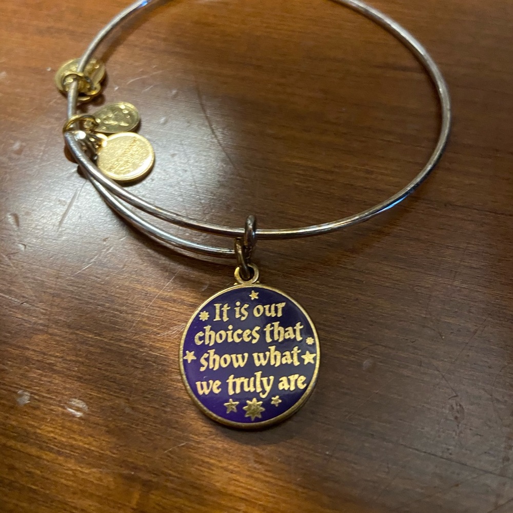 Harry Potter Alex and Ani